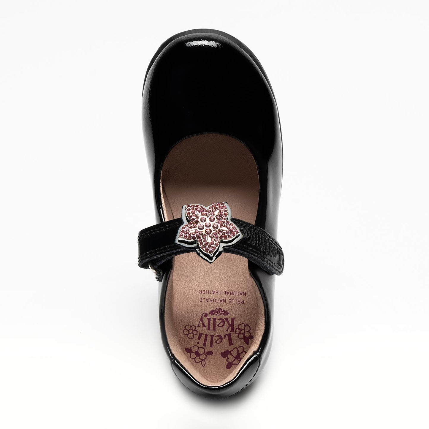 LK 8471 Daisy2 & Bow School F