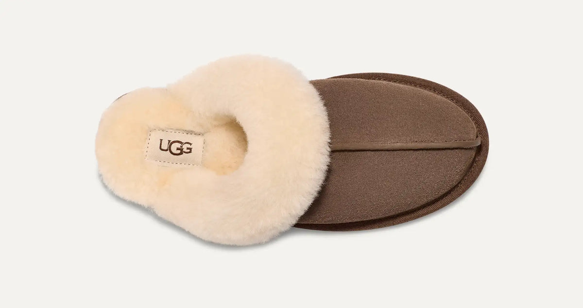 U 1106872 W Scuffette II espresso