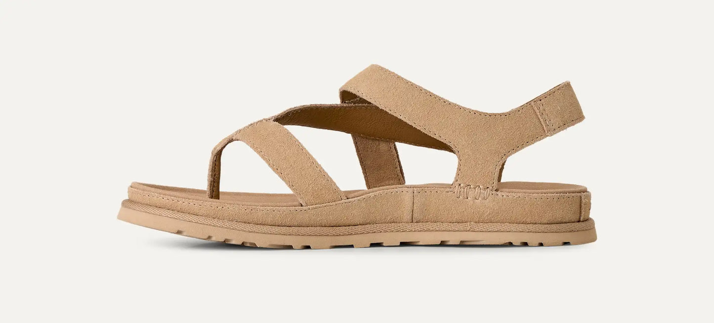 U 1175134 Goldengaze toe post