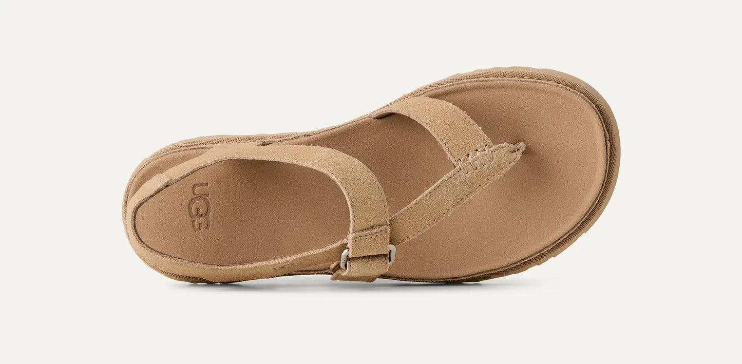 U 1175134 Goldengaze toe post