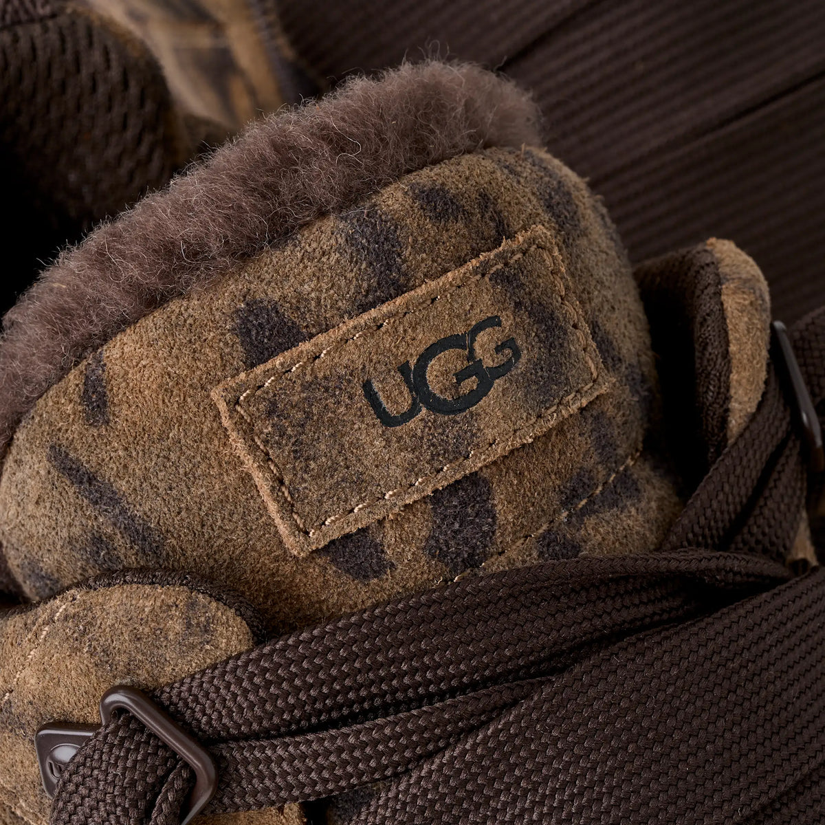 U 1187485 Lowmel spotted chestnut