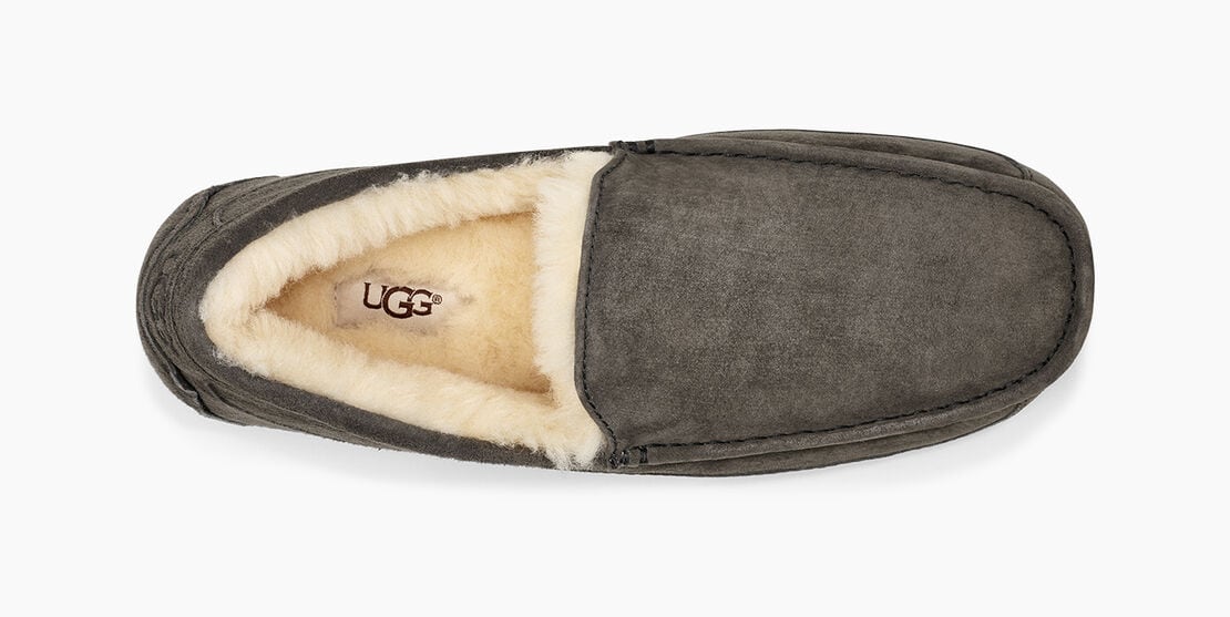 U 1101110 Ascot Men's slipper